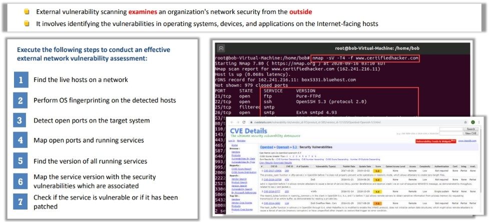External Network Vulnerability Assessment