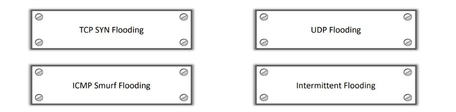 Network based Denial of Service Attack DoS